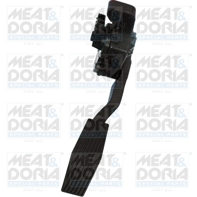 Accelerator Pedal Unit
